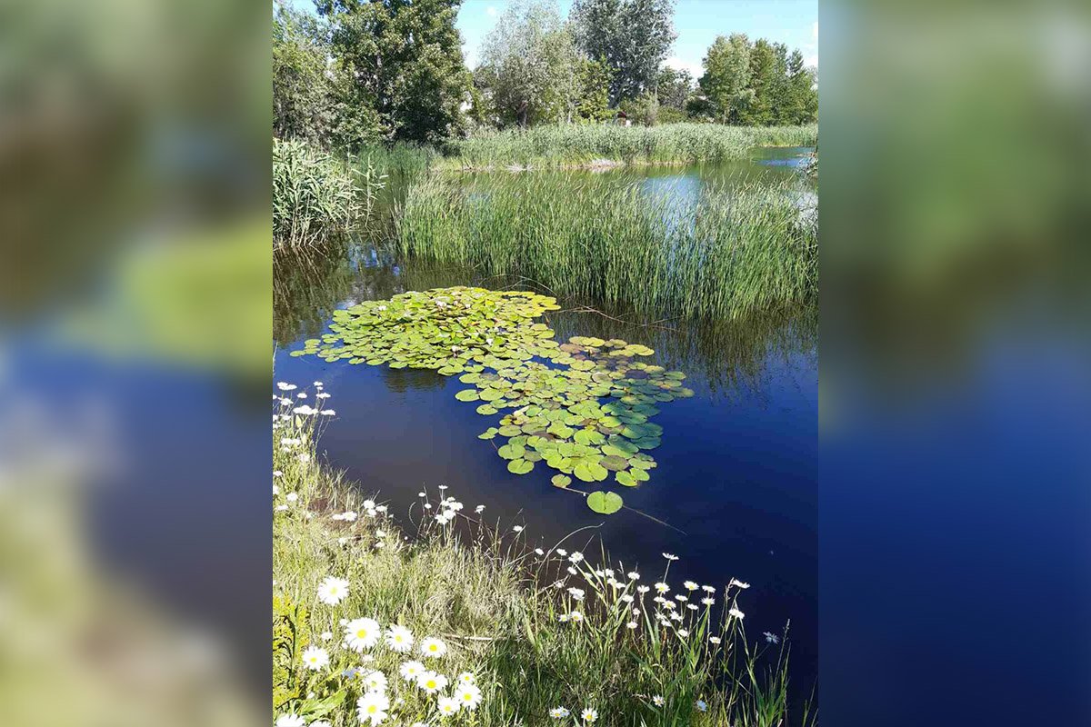 Еще красивые год назад