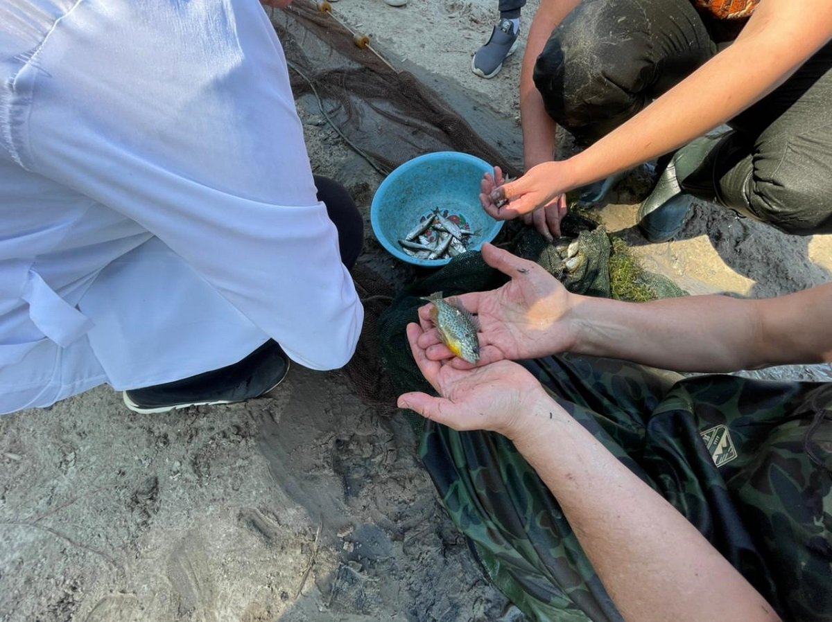 Озеро Котлован готовят к зарыблению 5