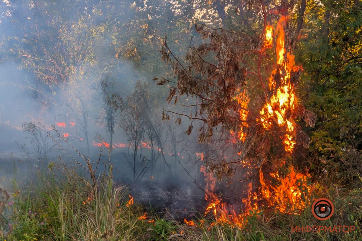 Горящий сухостой Горящий сухостой