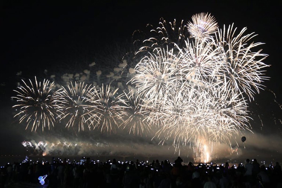 В Днепре День города завершили шоу Dnipro Light Flowers, претендующим стать самой масштабной артинсталляцией в мире 6