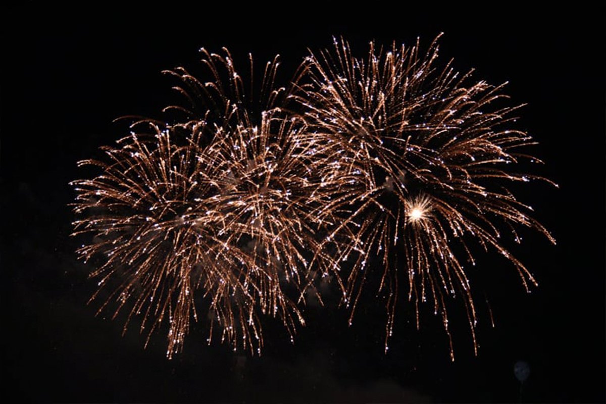 В Днепре День города завершили шоу Dnipro Light Flowers, претендующим стать самой масштабной артинсталляцией в мире 7