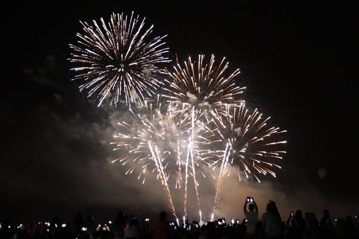 В Днепре День города завершили шоу Dnipro Light Flowers, претендующим стать самой масштабной артинсталляцией в мире 9