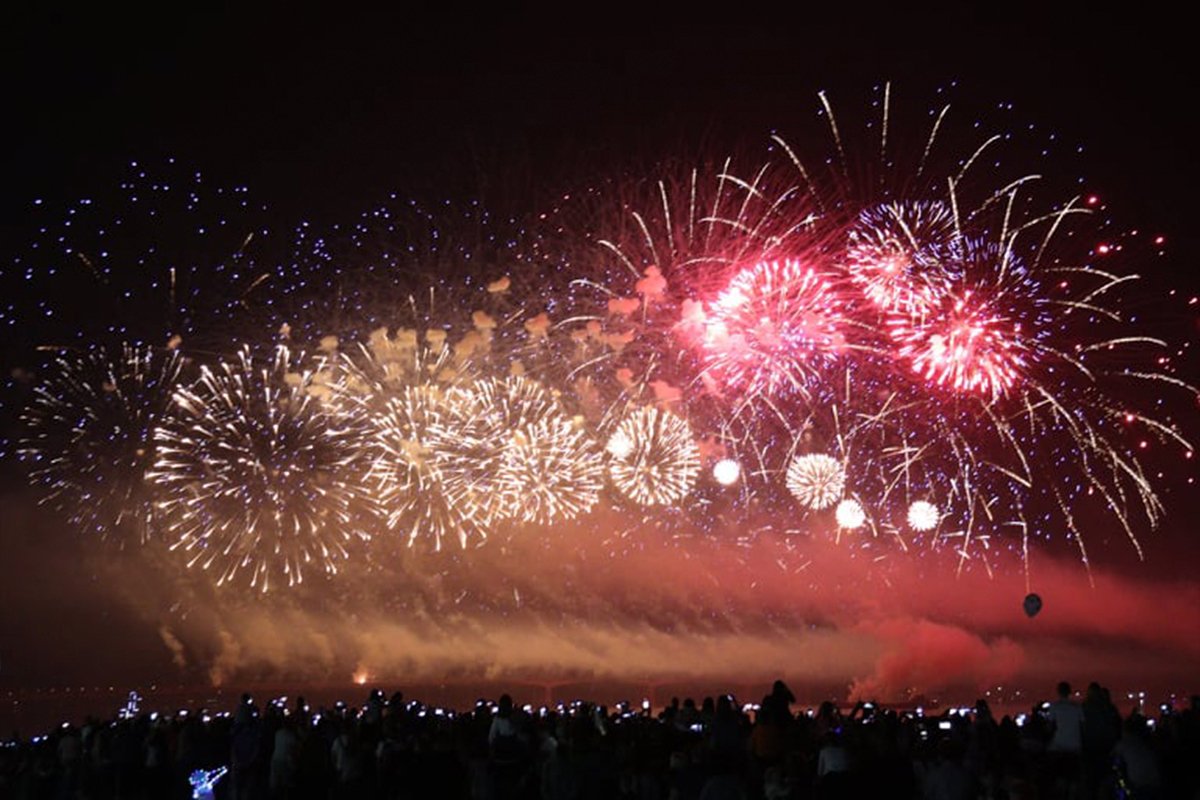 В Днепре День города завершили шоу Dnipro Light Flowers, претендующим стать самой масштабной артинсталляцией в мире 12