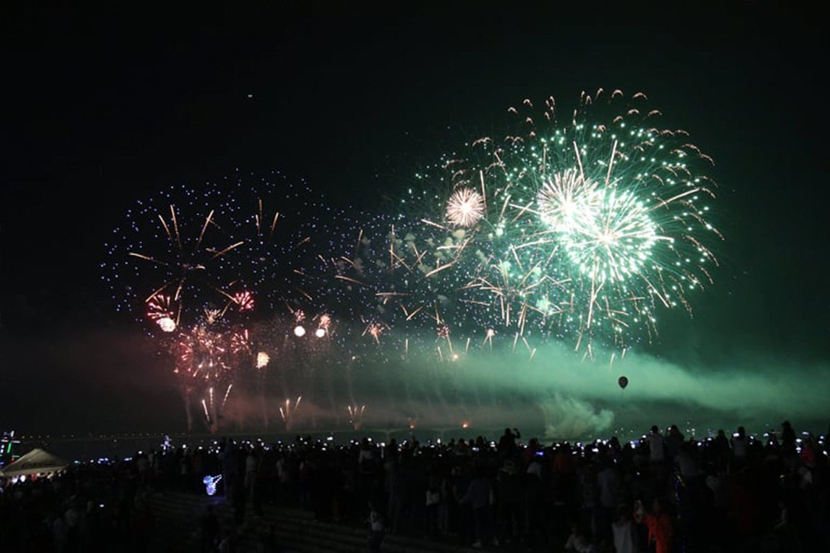 В Днепре День города завершили шоу Dnipro Light Flowers, претендующим стать самой масштабной артинсталляцией в мире 14