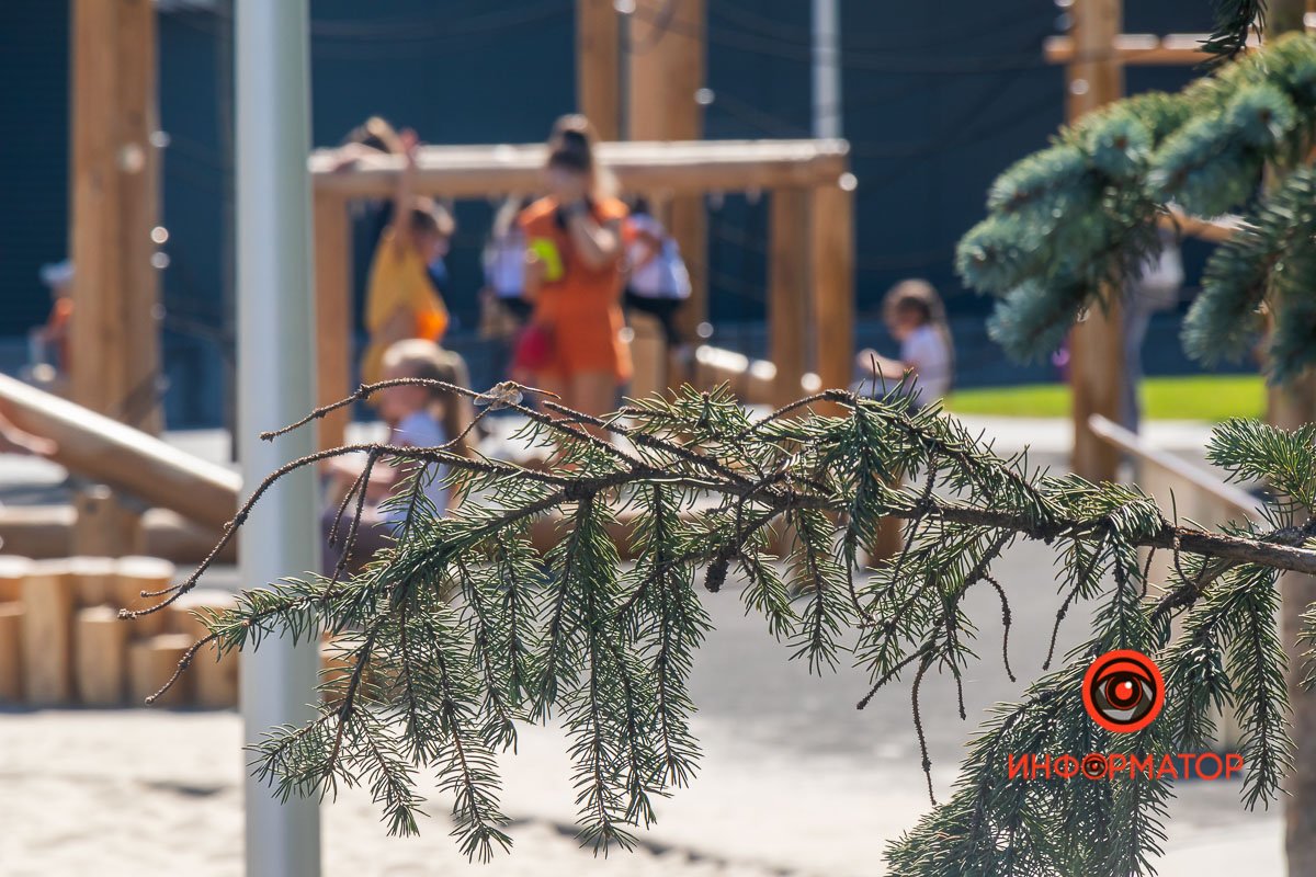 На территории высажены платаны, туи и кипарисы