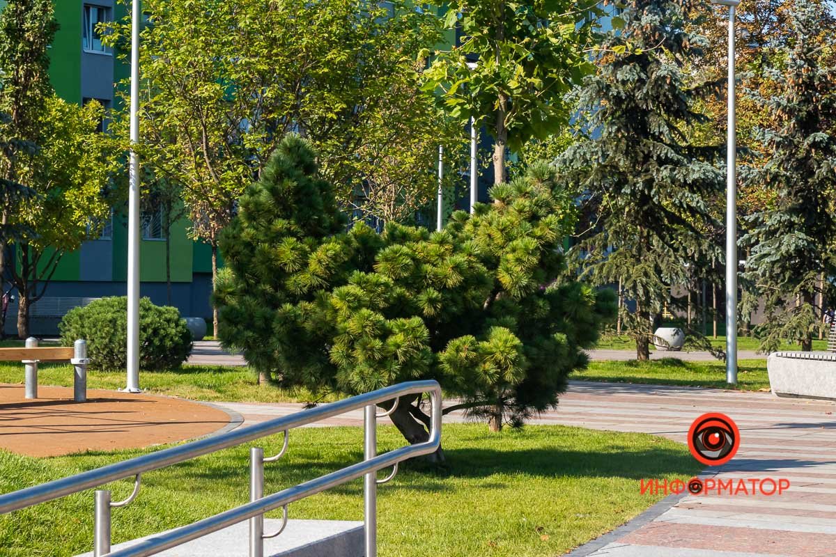 Похоже на морду котейки