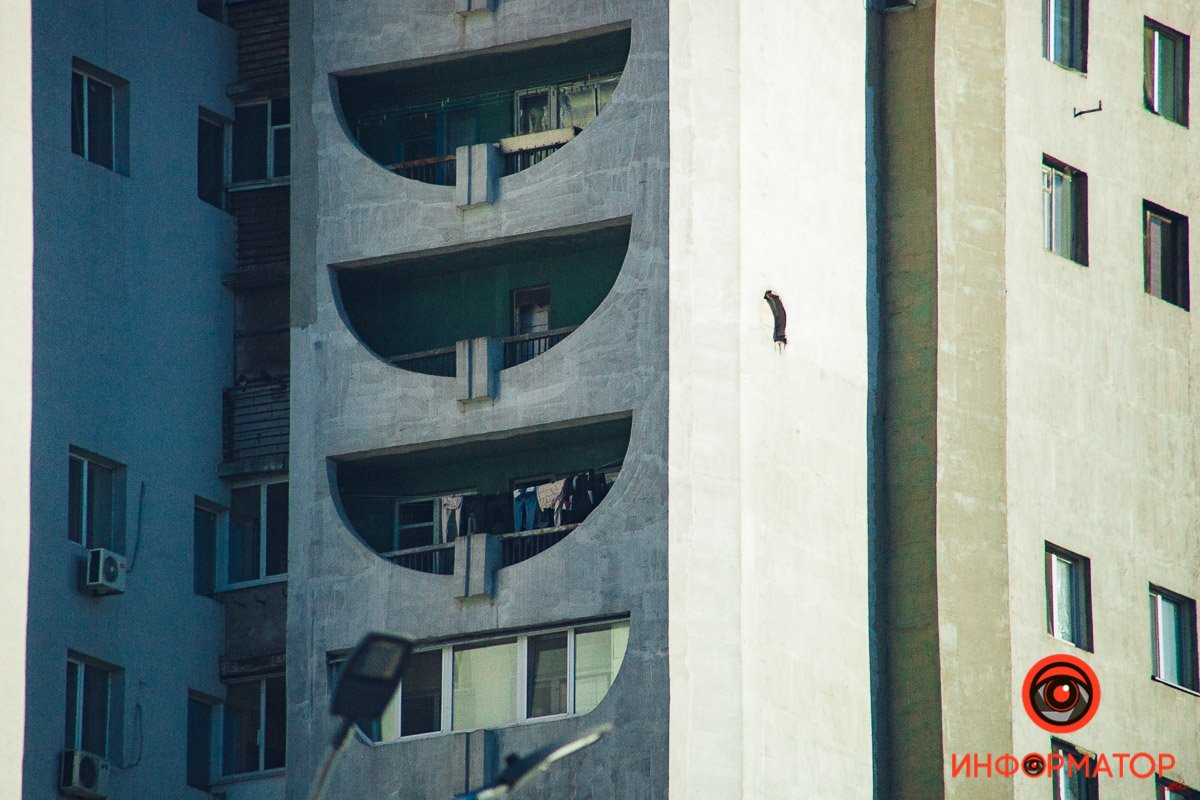 Улыбка бобра