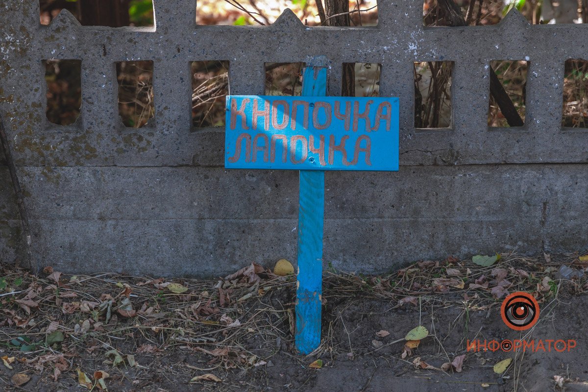 Разбросанные останки и сломанные памятники: в Днепре на Клочко сровняли с землей кладбище домашних животных 1