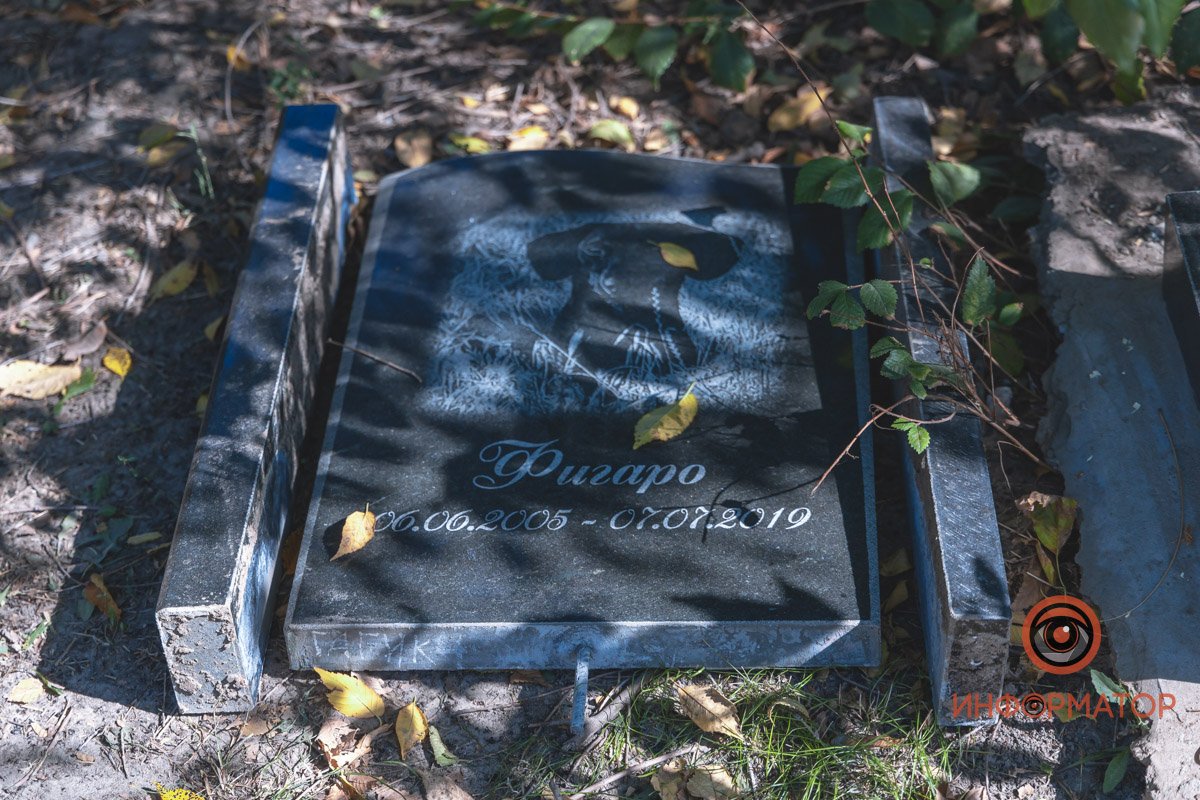 Разбросанные останки и сломанные памятники: в Днепре на Клочко сровняли с землей кладбище домашних животных 3