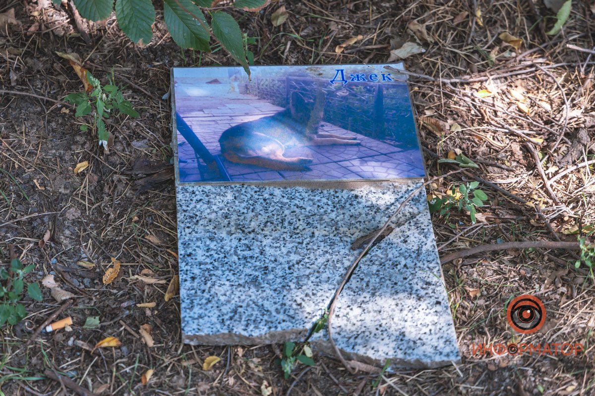 Разбросанные останки и сломанные памятники: в Днепре на Клочко сровняли с землей кладбище домашних животных 9