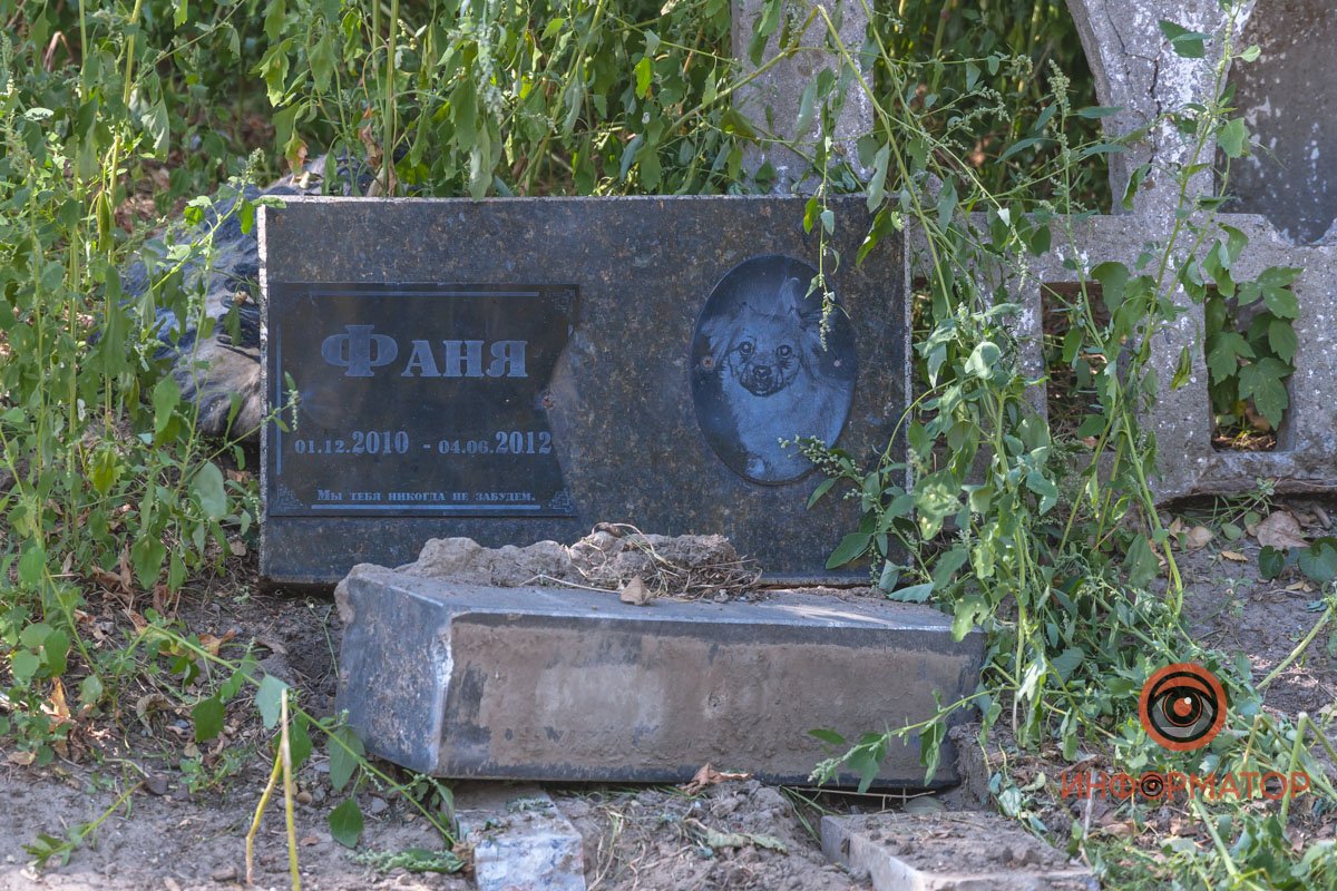 Разбросанные останки и сломанные памятники: в Днепре на Клочко сровняли с землей кладбище домашних животных 18