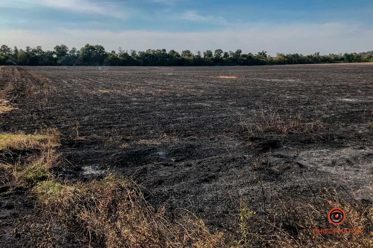 На трассе Днепр - Запорожье из-за масштабного пожара произошло ДТП с участием 5 машин 19