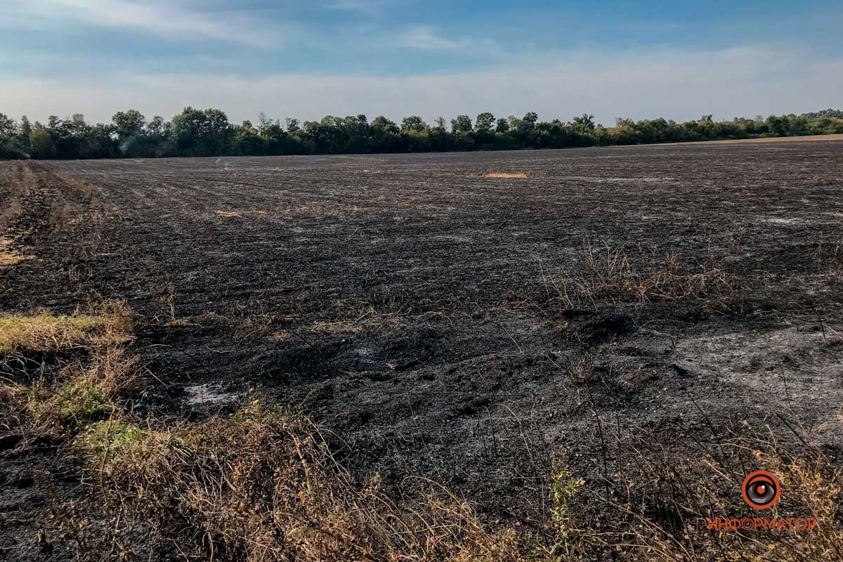 На трассе Днепр - Запорожье из-за масштабного пожара произошло ДТП с участием 5 машин 20