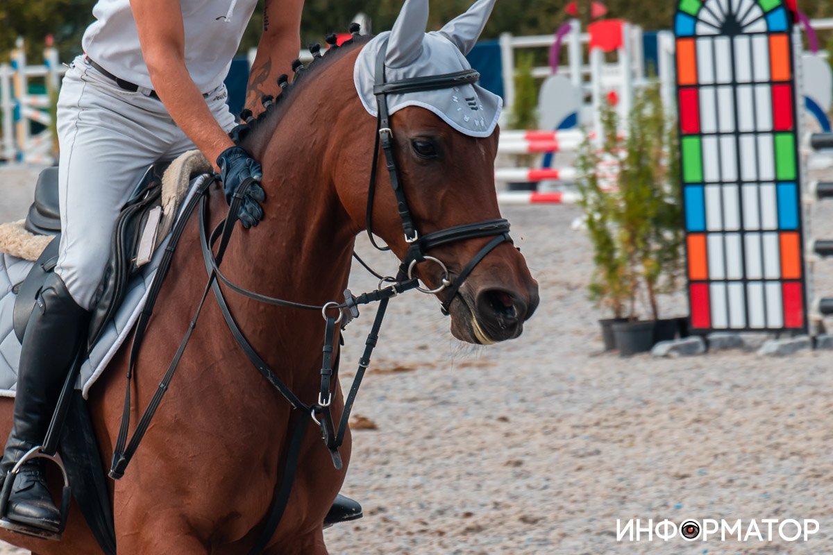 Как в Днепре проходят соревнования по конному спорту Dnipro Horse Show 2021 29