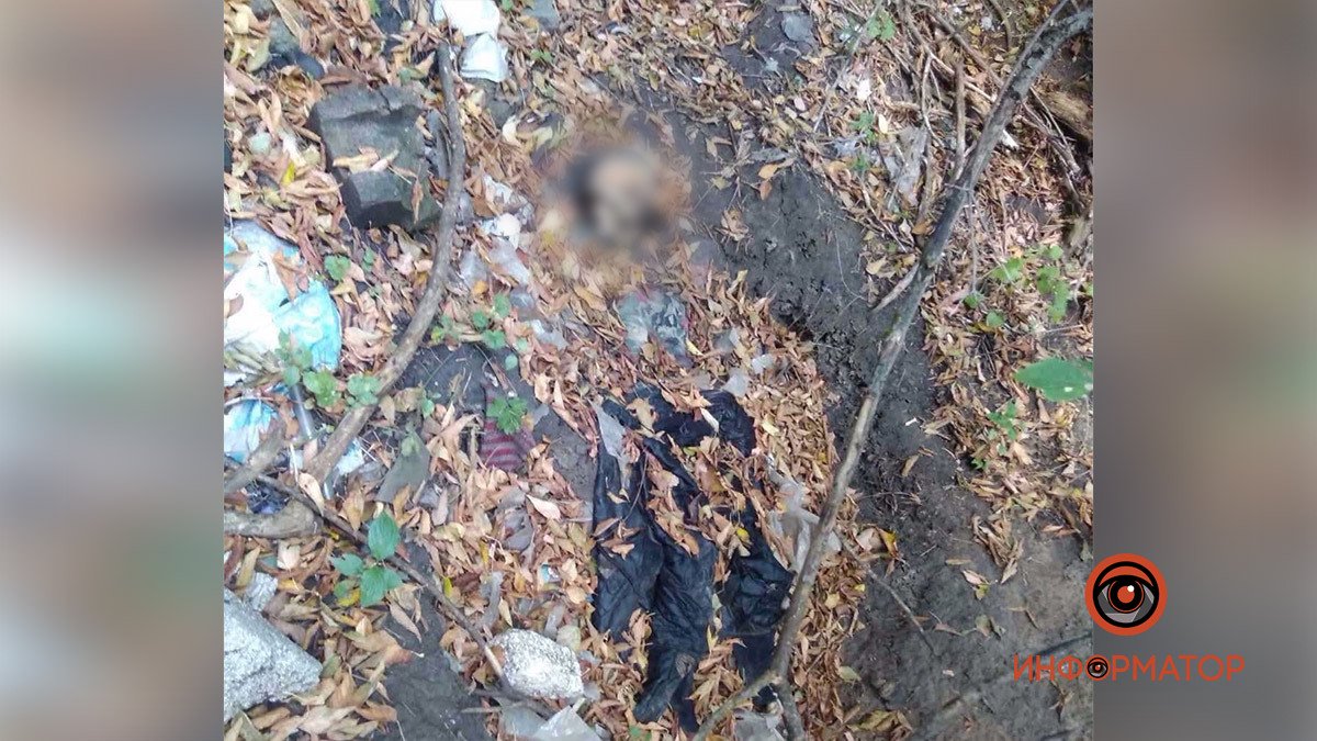 В Днепропетровской области возле АЗС Neftek нашли скелет женщины