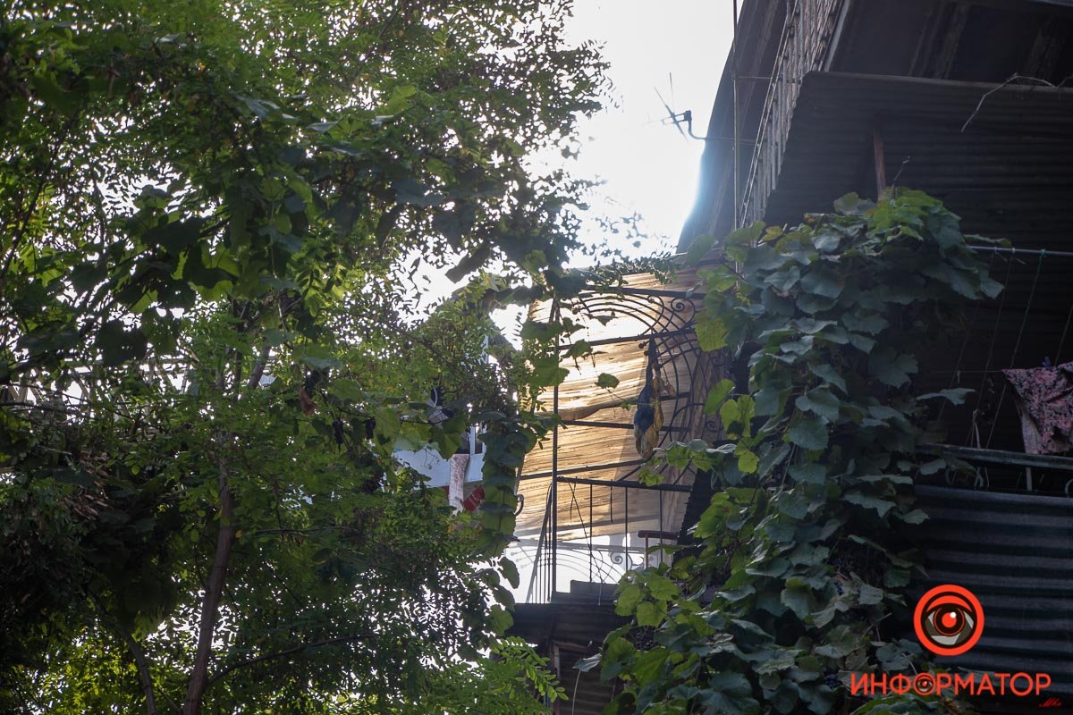 Фото: Максим Якушев