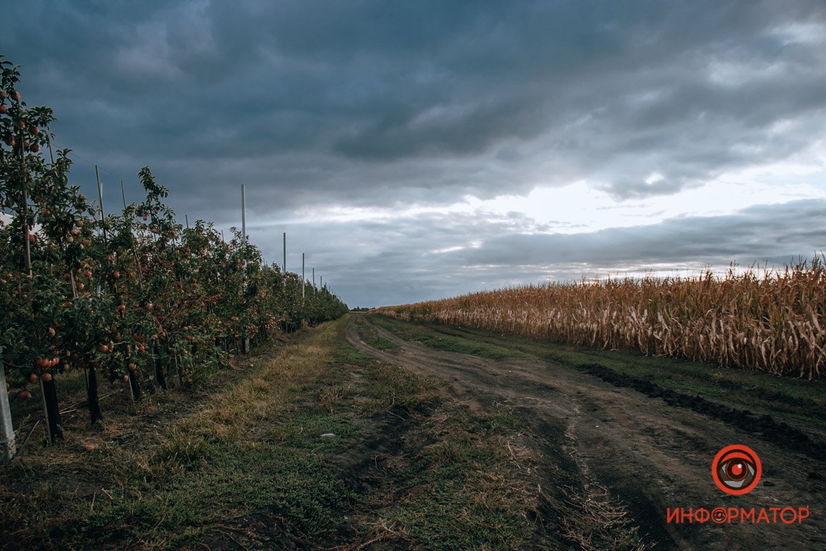 Фото: Руслана Левченко Фото: Руслана Левченко