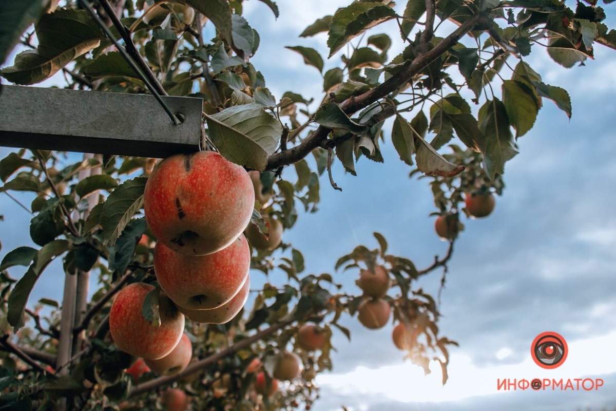 Фото: Руслана Левченко Фото: Руслана Левченко