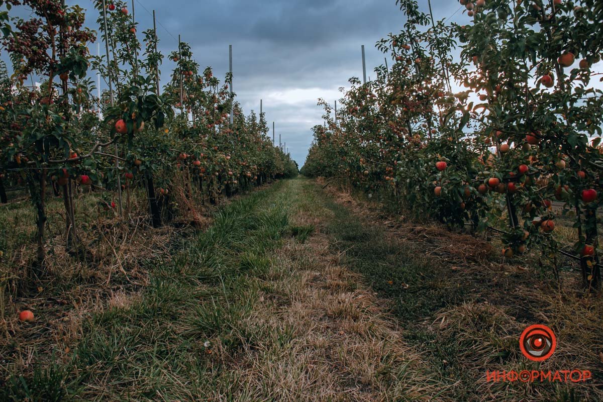 Фото: Руслана Левченко Фото: Руслана Левченко