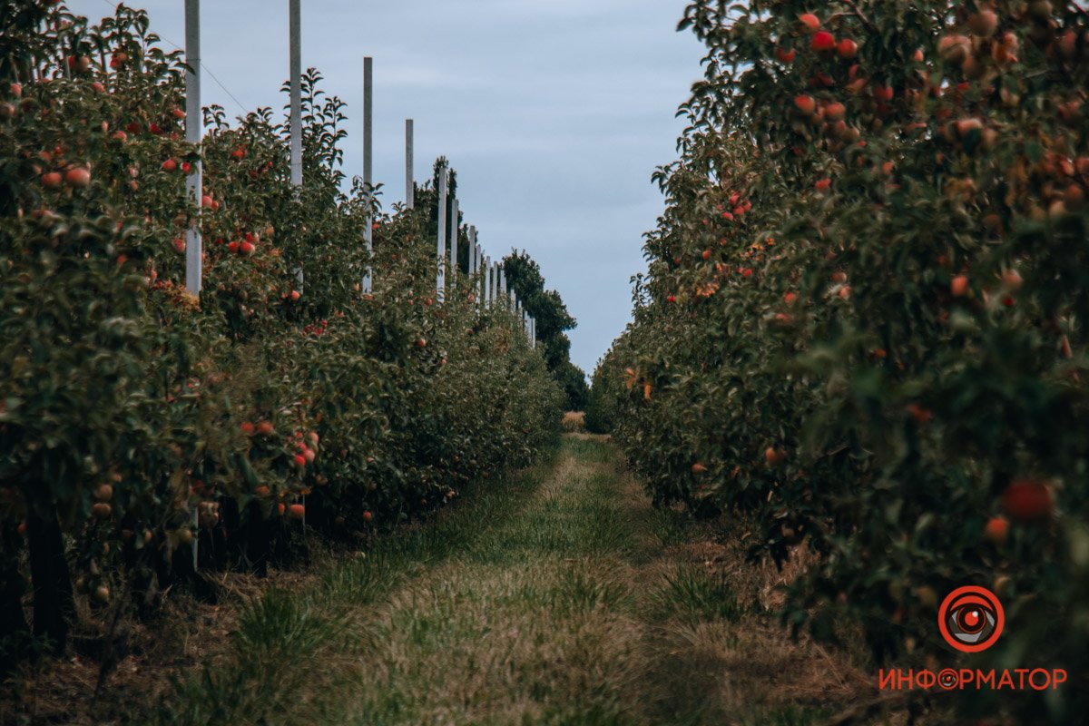 Фото: Руслана Левченко Фото: Руслана Левченко