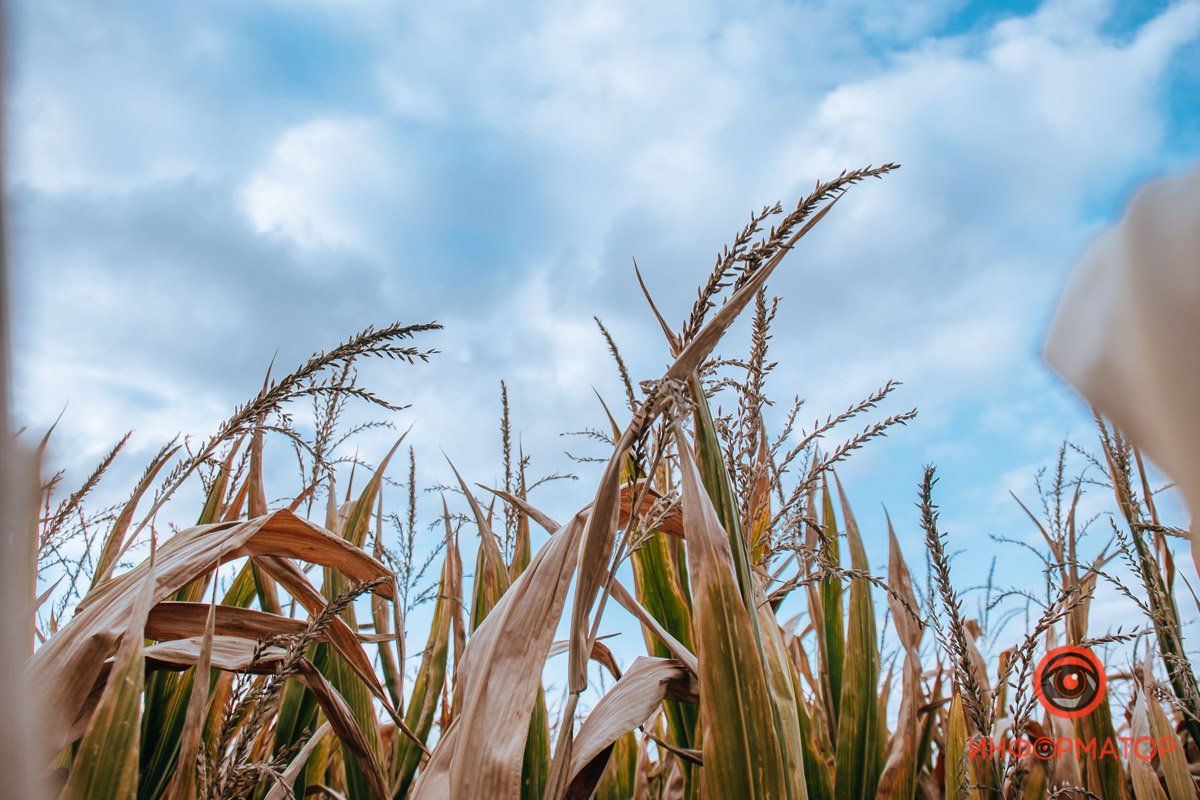 Фото: Руслана Левченко Фото: Руслана Левченко