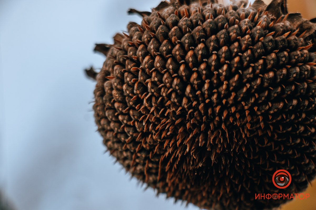 Фото: Руслана Левченко Фото: Руслана Левченко