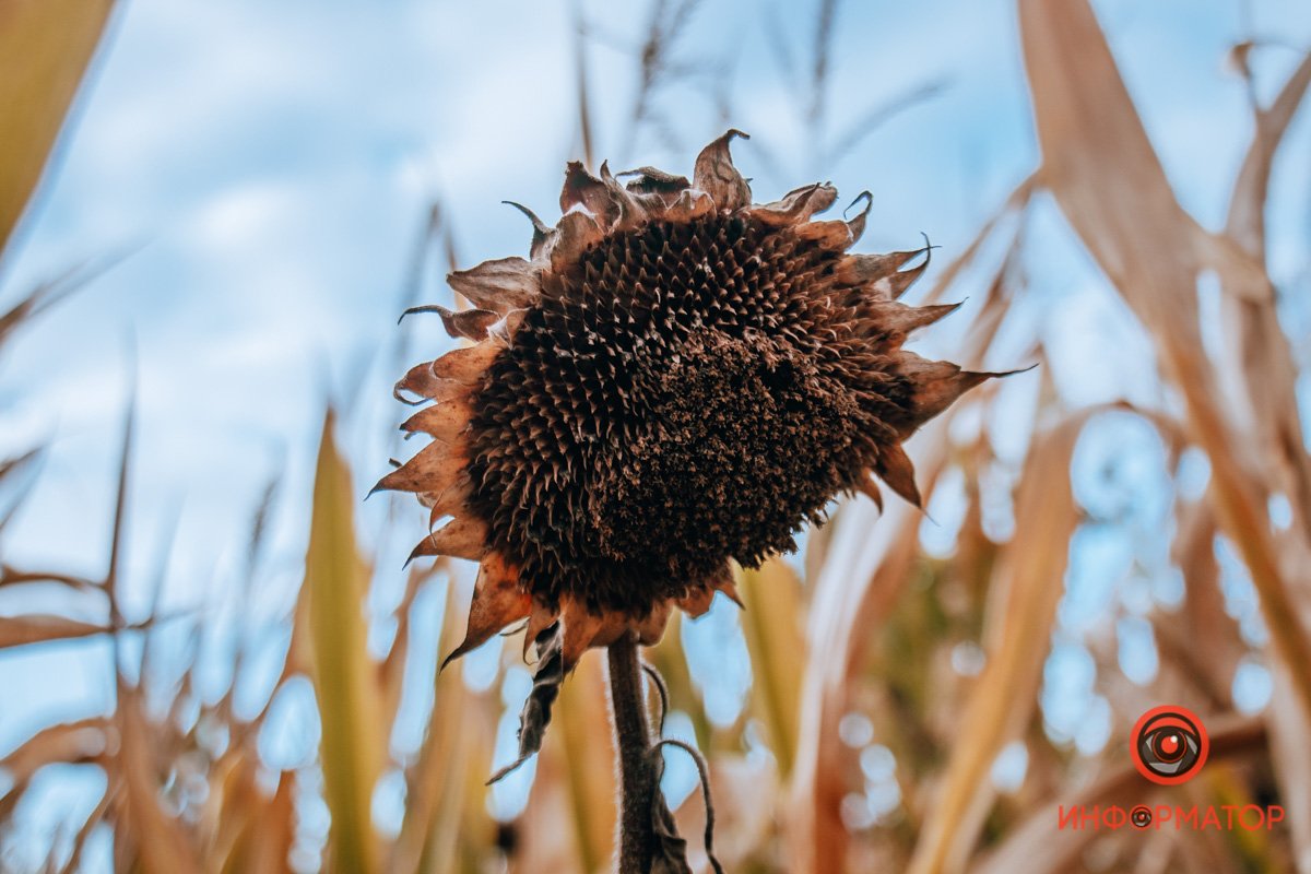 Фото: Руслана Левченко Фото: Руслана Левченко