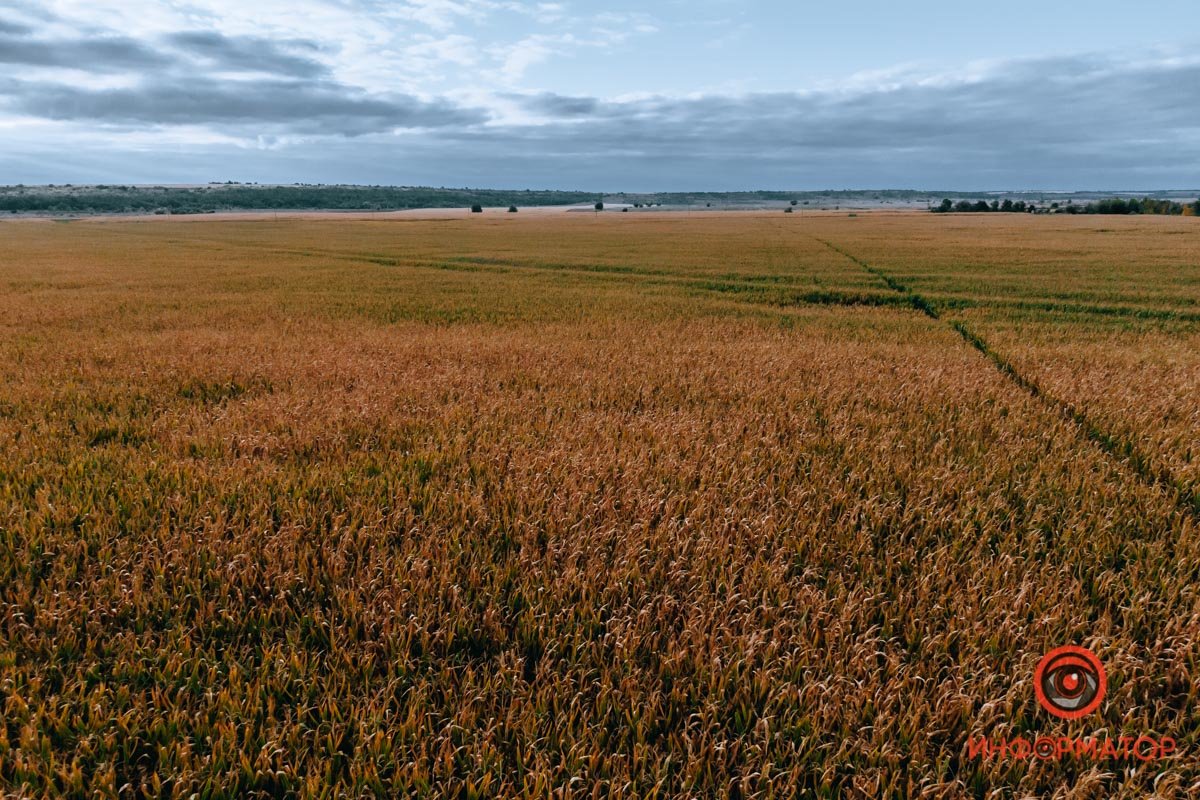 Фото: Валентин Валах Фото: Валентин Валах
