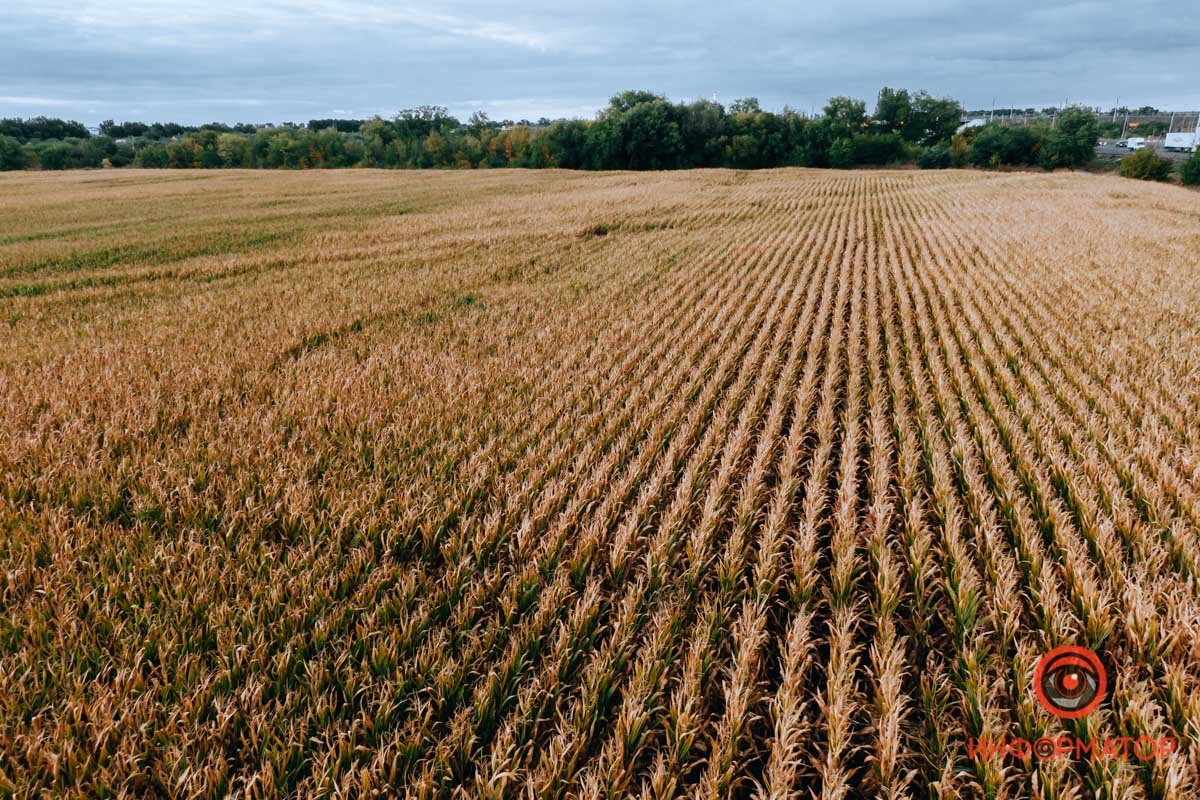Фото: Валентин Валах Фото: Валентин Валах