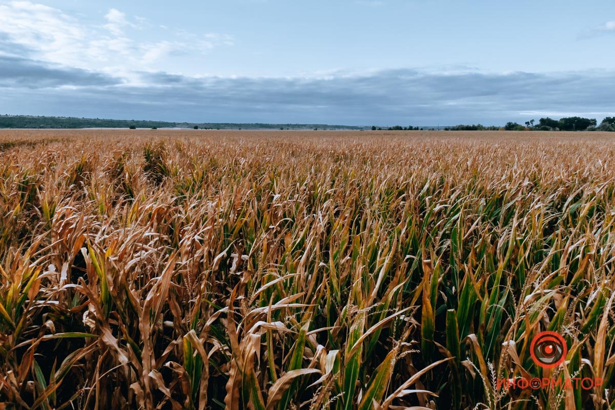 Фото: Валентин Валах Фото: Валентин Валах
