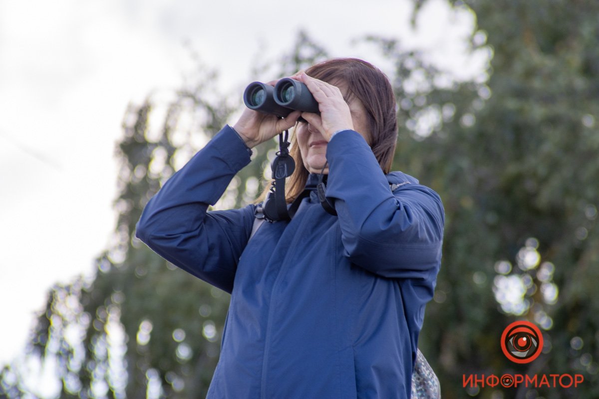 Где же яхта? Где же яхта?