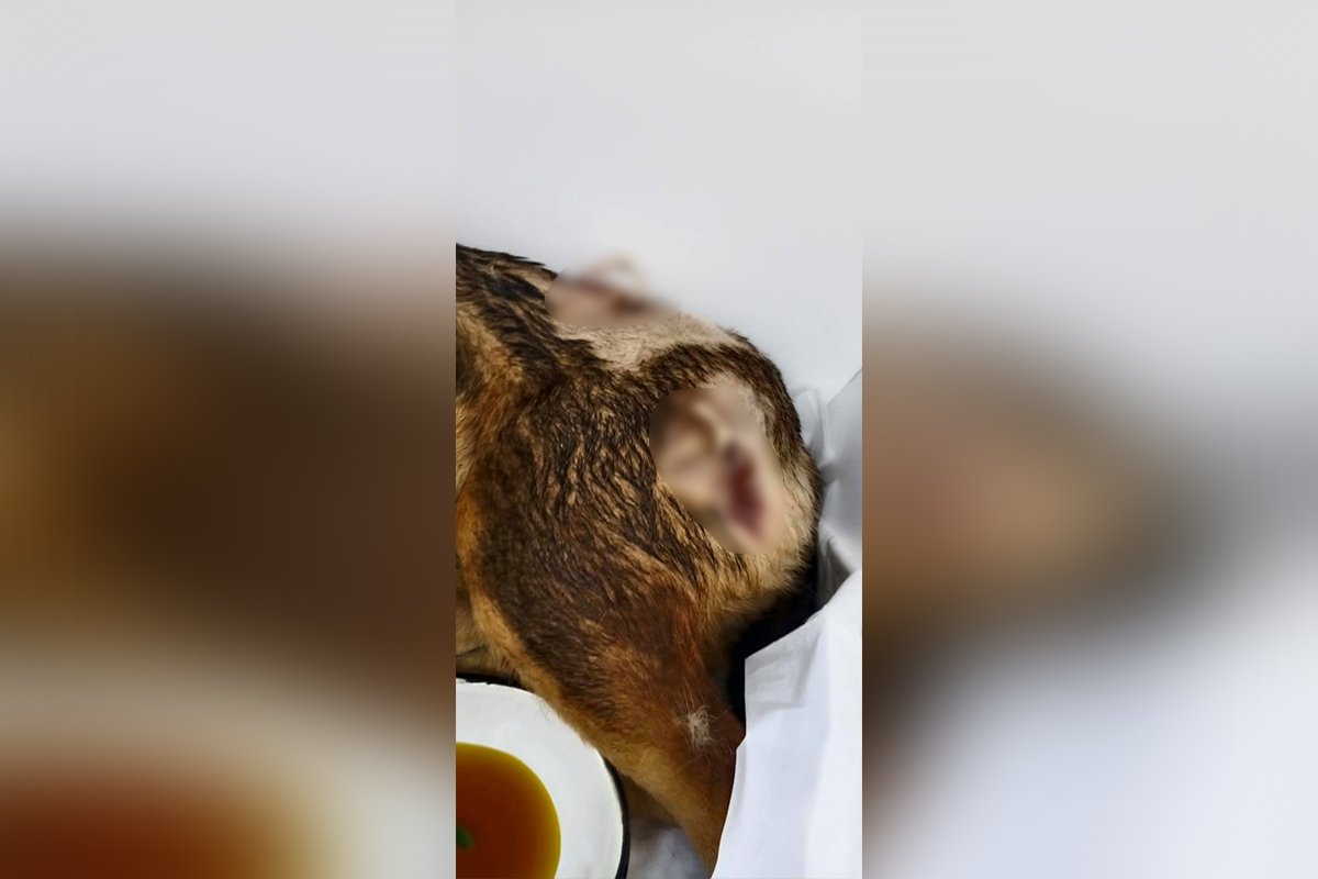 Стреляли три раза Стреляли три раза