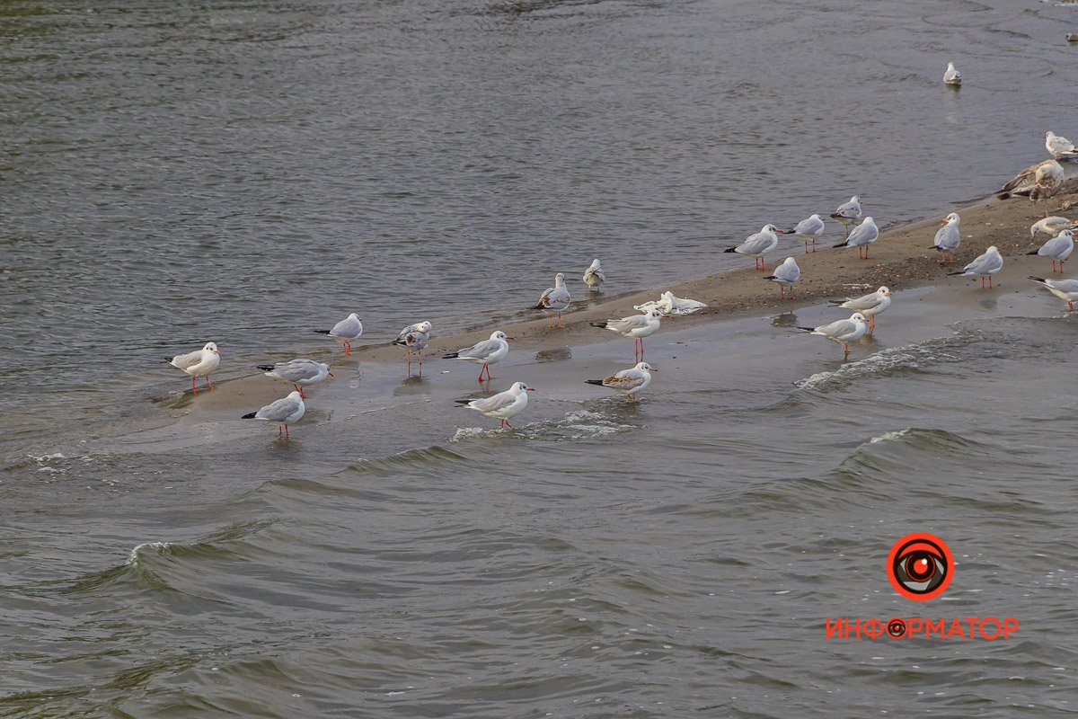 Теперь им придется найти более уютный и чистый дом 