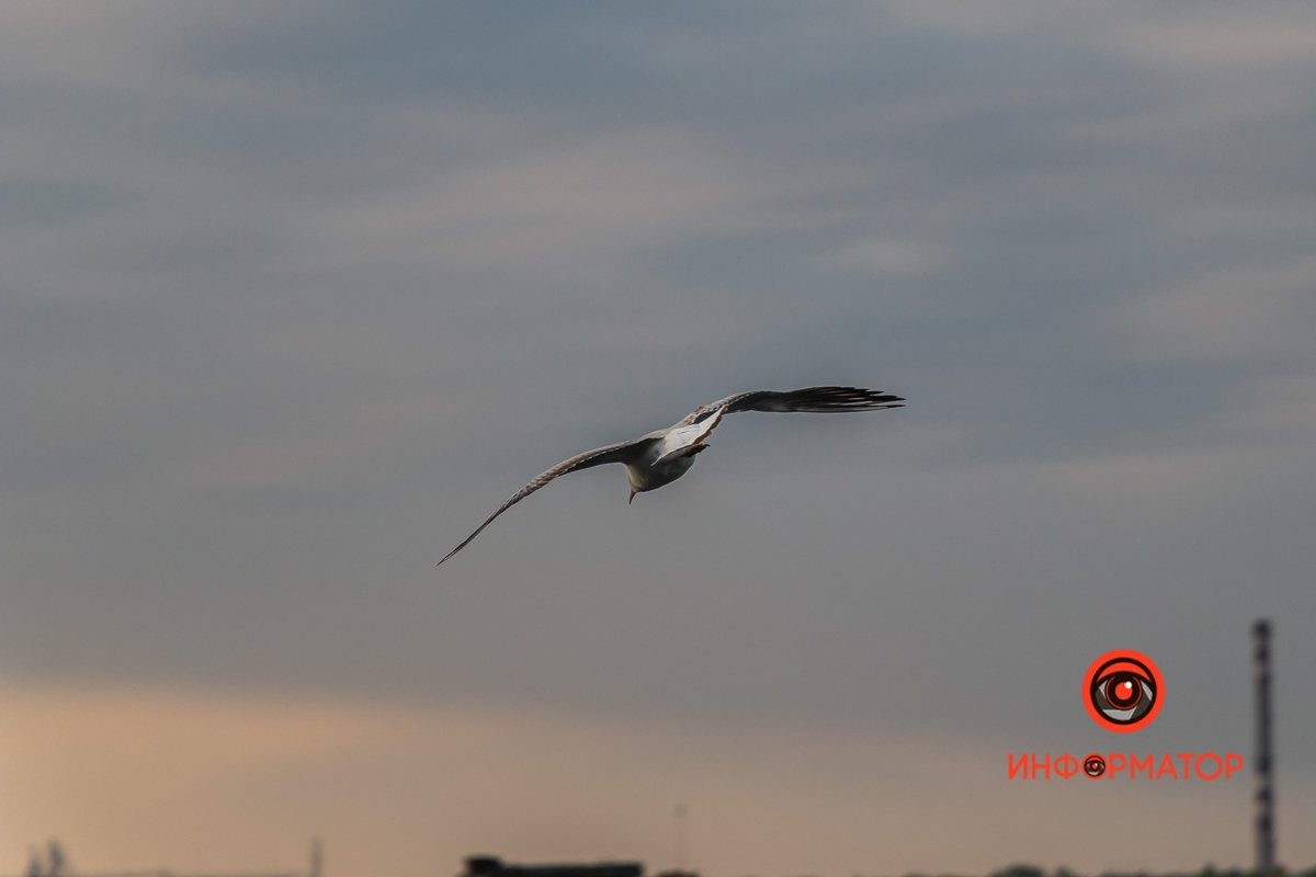 Давайте держать город в чистоте 