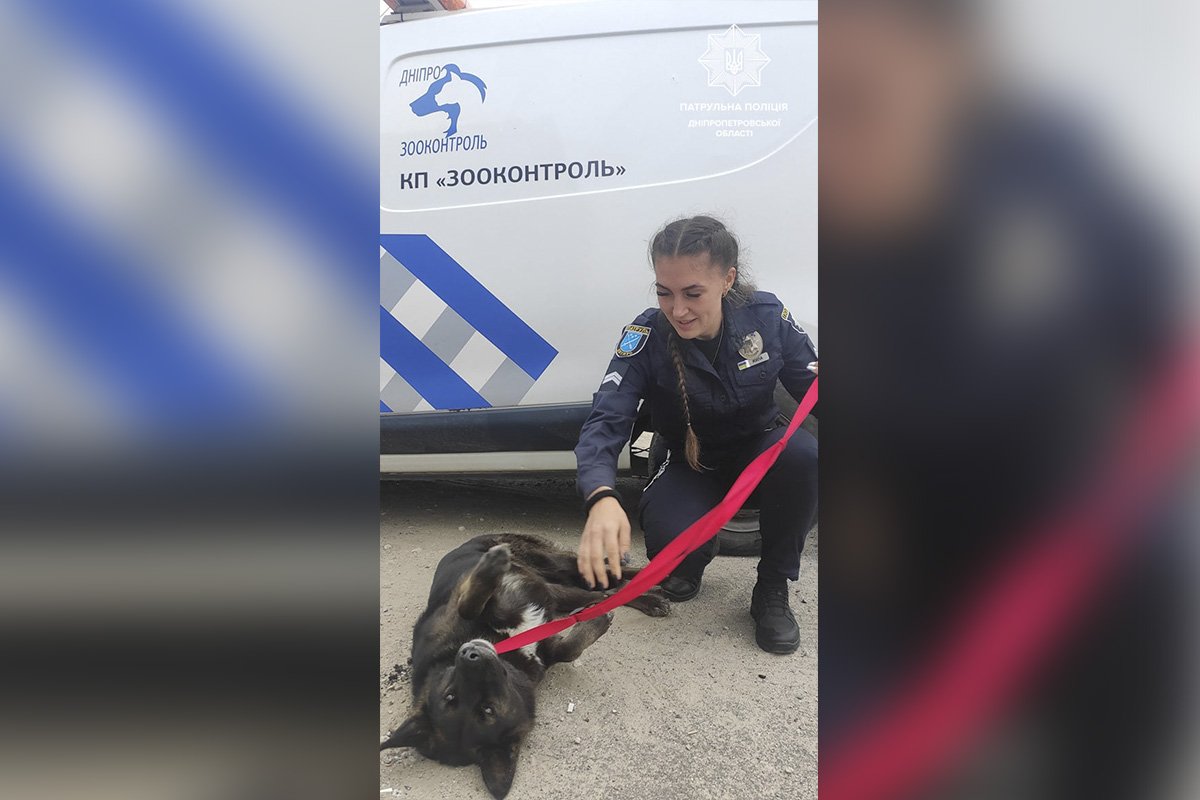 Маленькие чудеса