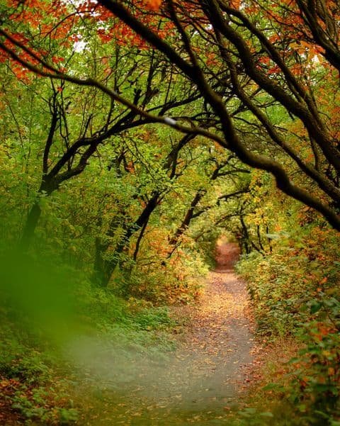 @_ksu_erm_