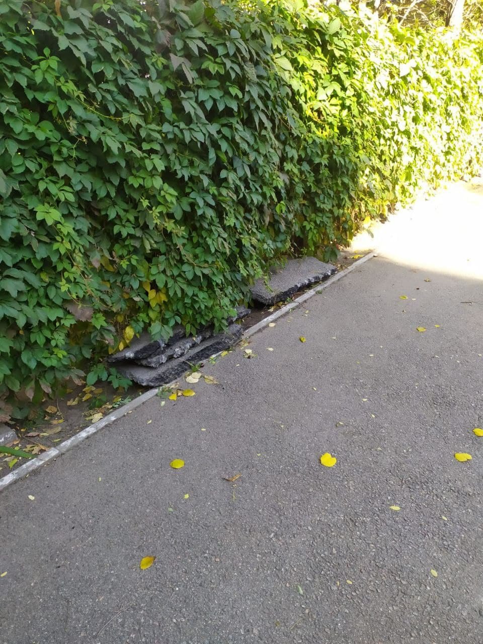 На месте проводились работы На месте проводились работы