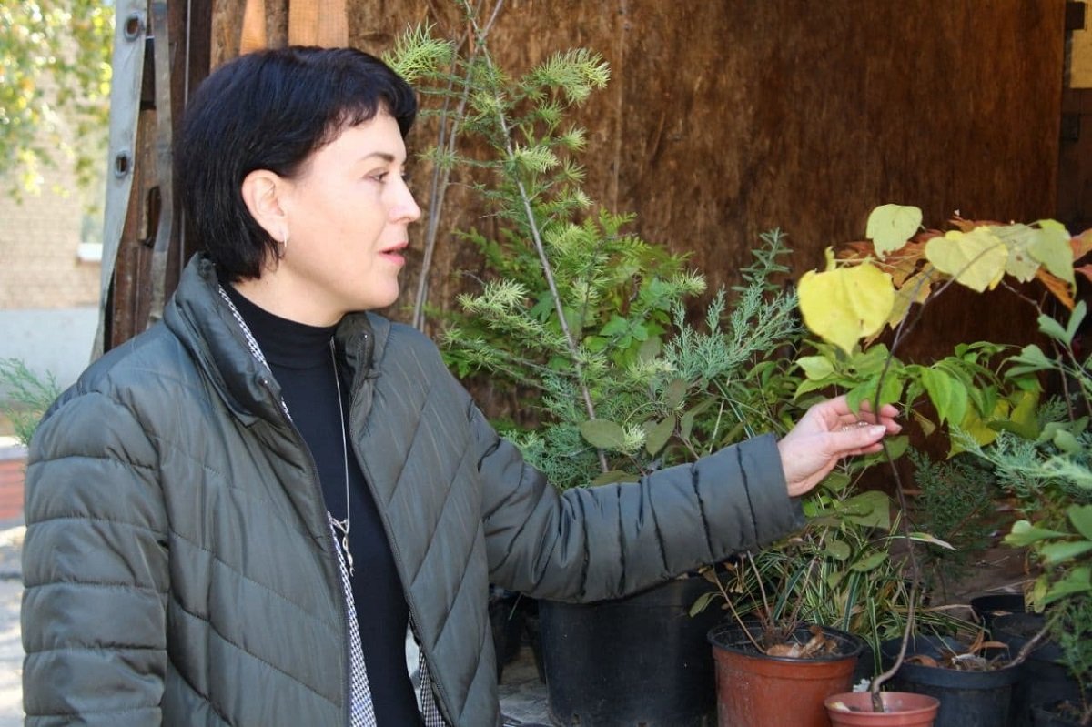 Собрали почти тонну макулатуры: Школа № 37 приняла участие в экоакции "Обменяй бумагу на дерево" 4