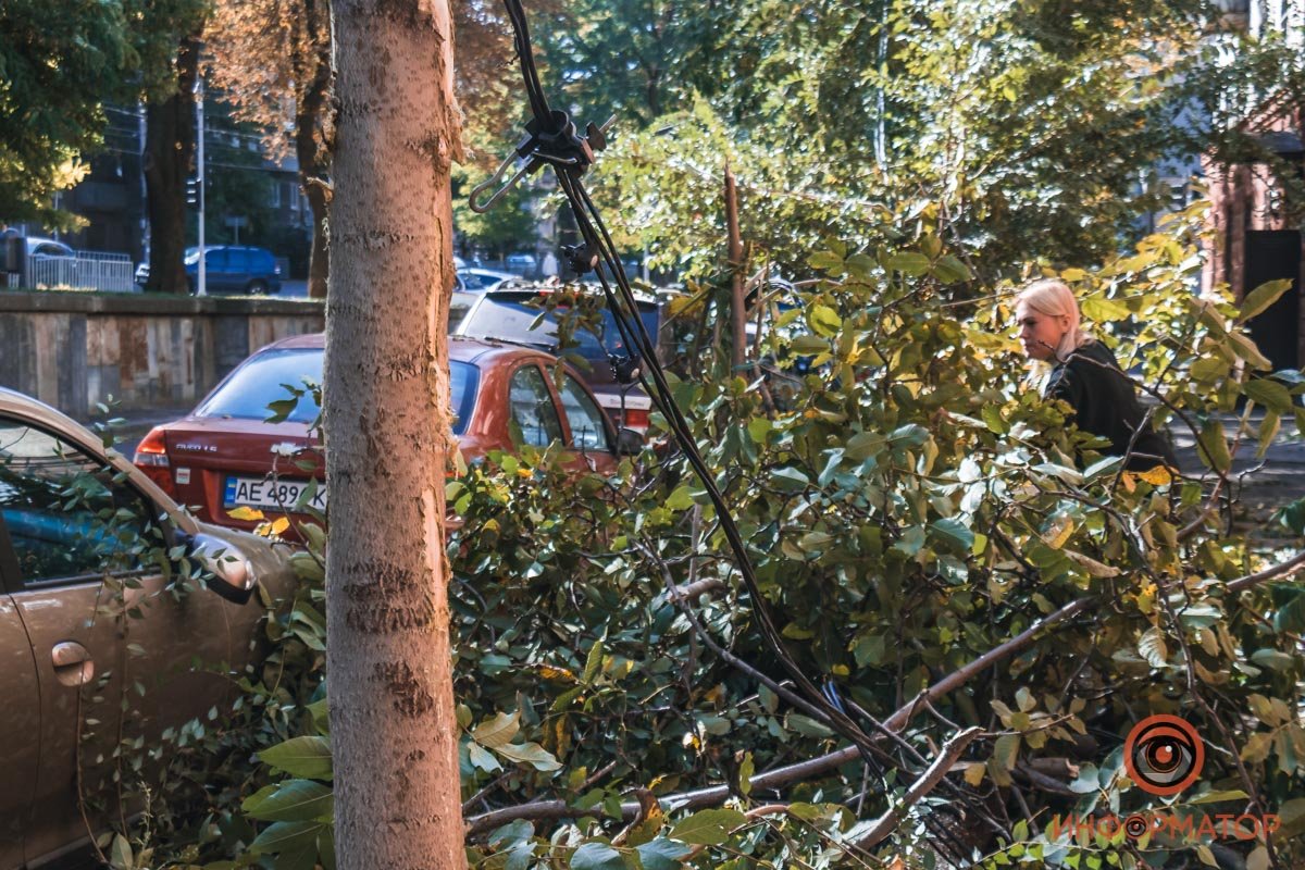Также она оборвала электрический кабель уличного освещения Также она оборвала электрический кабель уличного освещения