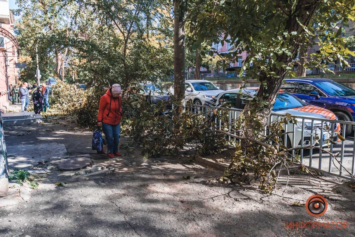 Фото: Андрей Шушпан Фото: Андрей Шушпан