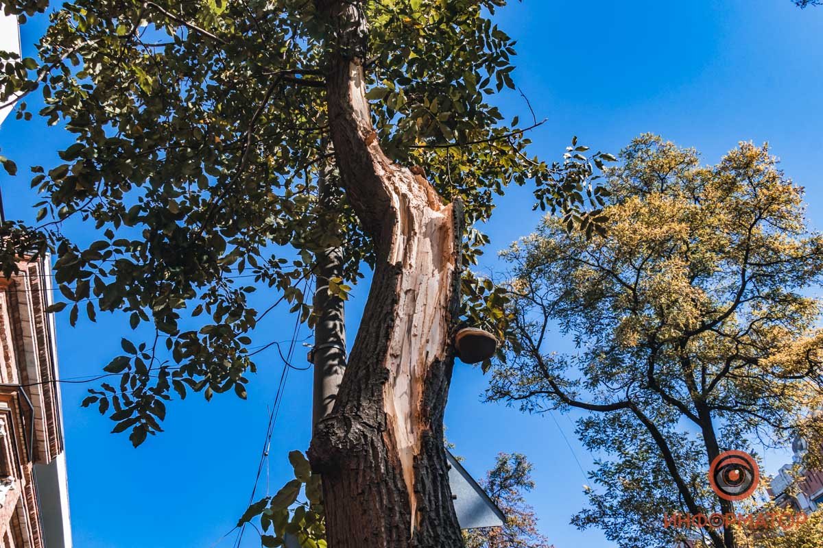 Будьте внимательны и берегите себя Будьте внимательны и берегите себя