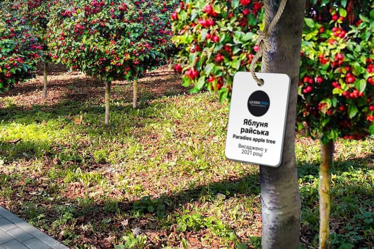 Так могут выглядеть именные таблички на яблонях в парке Гагарина