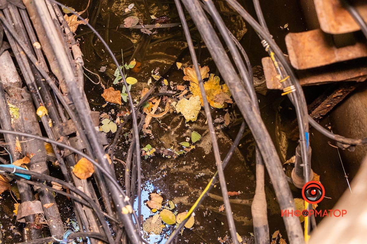 Канализация, в которой застаивается вода 