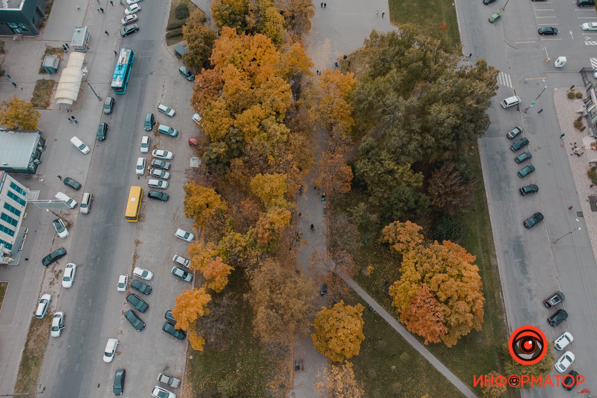 Все желто-зеленое