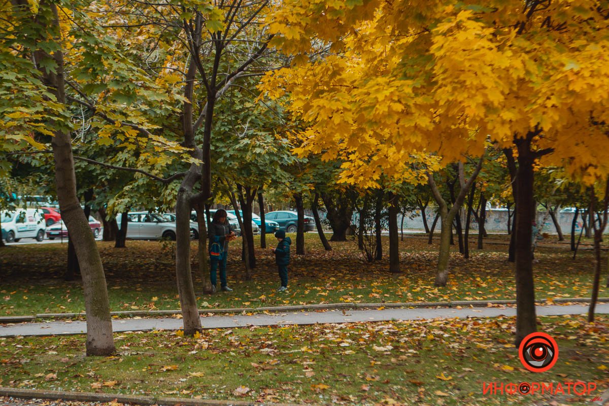 Гербарий - самое то