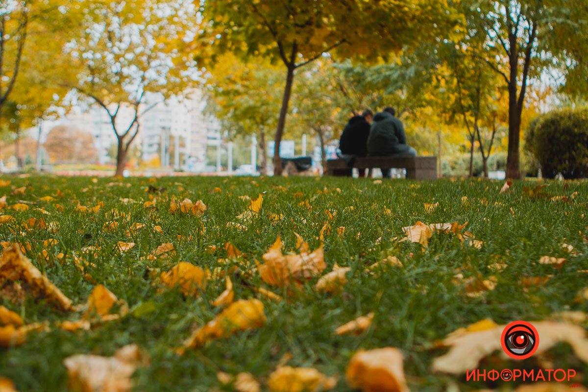 Хрустящий ковер