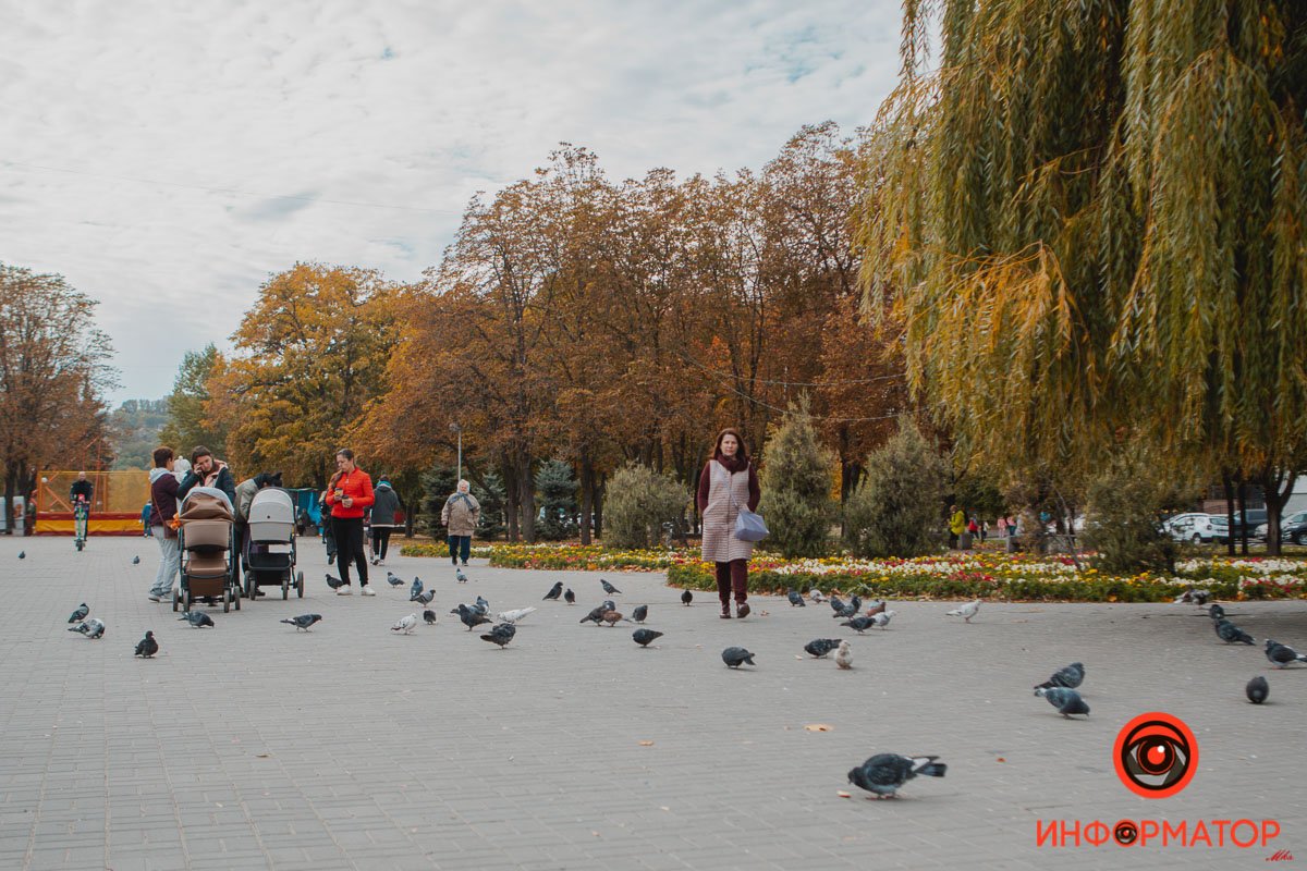 Голуби тоже вышли прогуляться