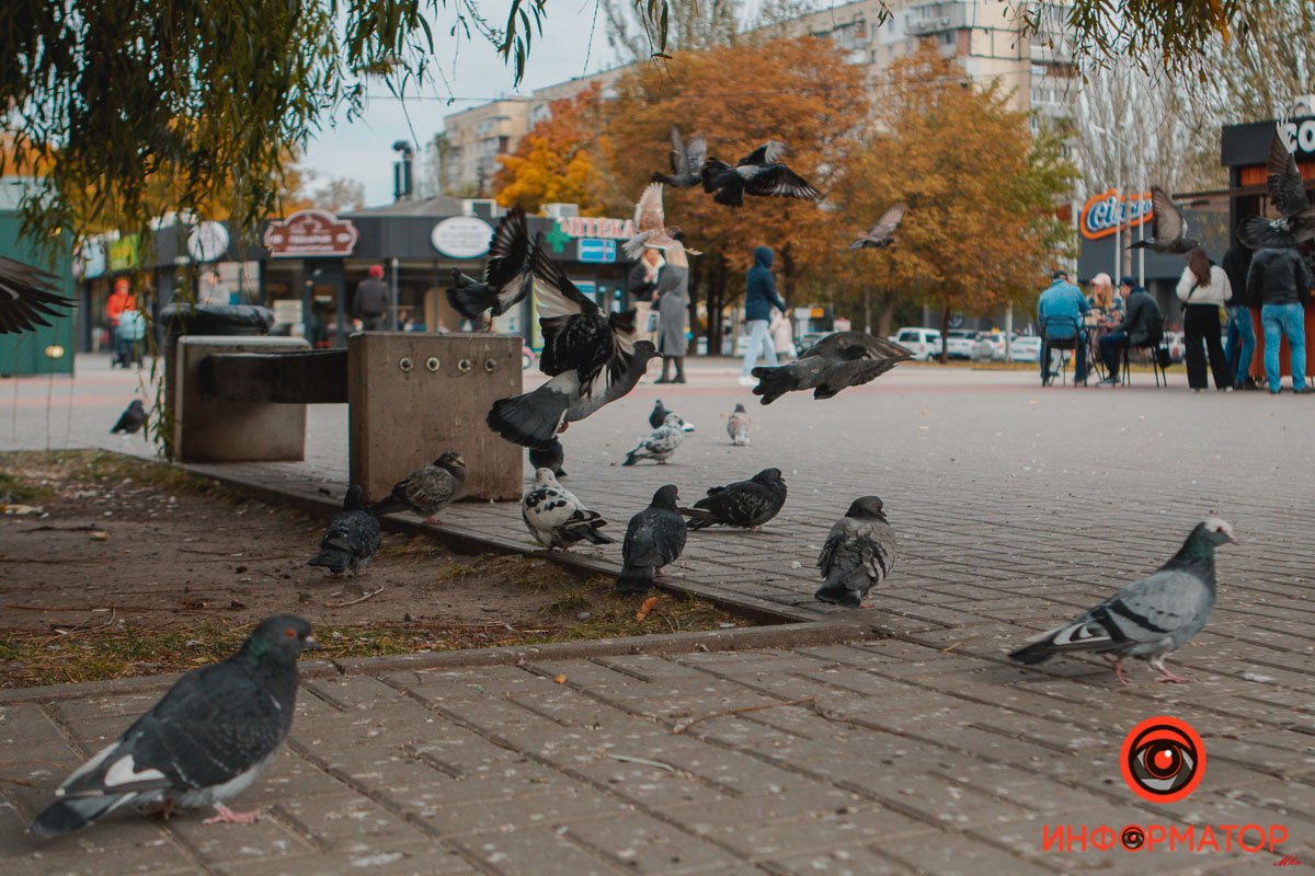 К взлету готовы