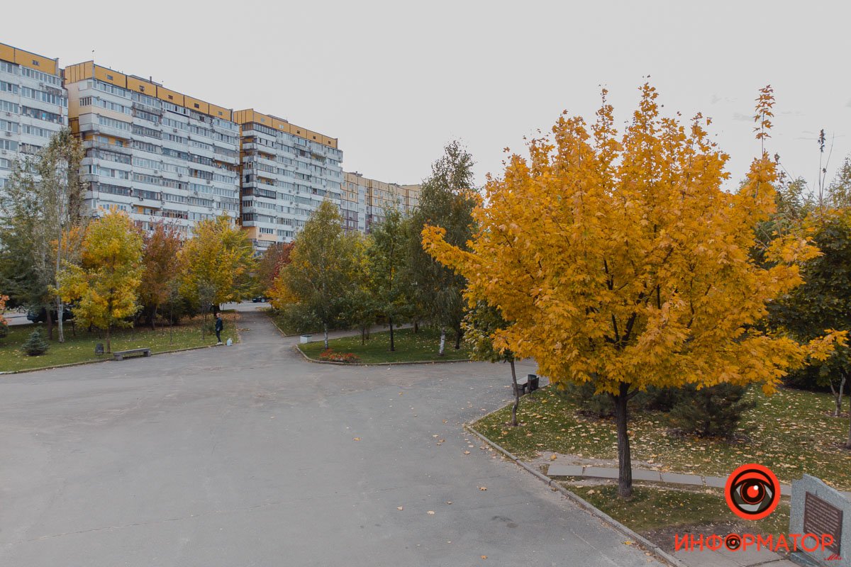 Лидер желтизны