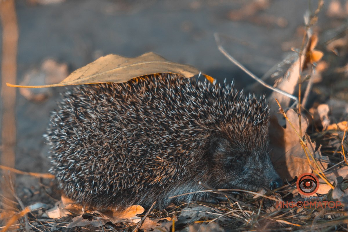 Как с открытки Как с открытки